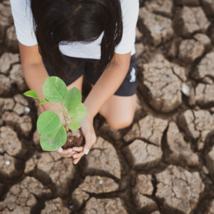 Bloomberg to Enable Guidance on Climate Change