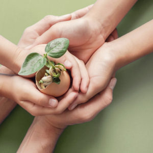 Credit Giant Moves into the ESG Game