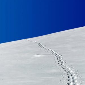 Refinitiv Goes After Digital Footprints in Third-Party Screening