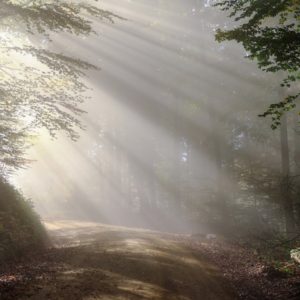 Illuminate Education: Using Data to Shed Light on Student Progress