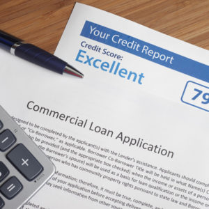 Segment View: Credit Information & Solutions – 2021