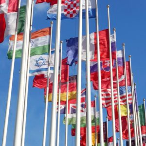Segment View: Global Standards Publishing - 2021
