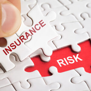 Near-Term Growth Opportunities May Cloud Long-Term Growth Strategies in the Risk Data Business