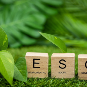 Private Equity Fuels ESG Automation