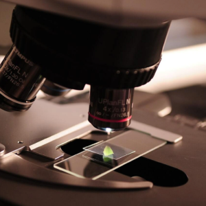 Scientific, Technical & Medical – Segment View 2022