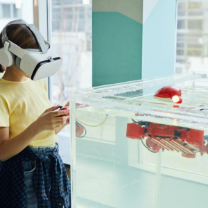Education Metaverse Announcements Abound, but Are the K-12, Higher Ed, and Corporate Training Markets Ready?