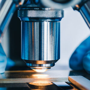 Scientific, Technical, & Medical in 2023