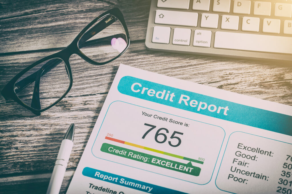 Credit Information - 2024 Segment View