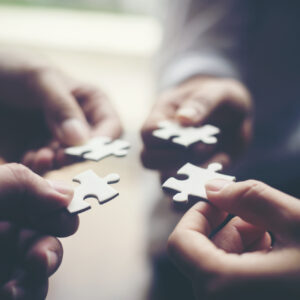 Operating Practice: Making Partnership Strategy Work