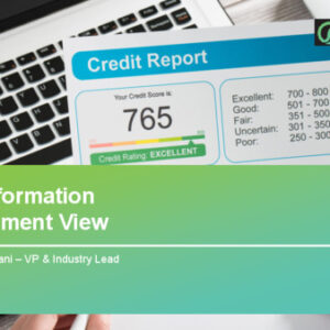 Credit Information 2025 Annual Segment View