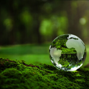Whither ESG? Navigating the Evolving Solutions Landscape
