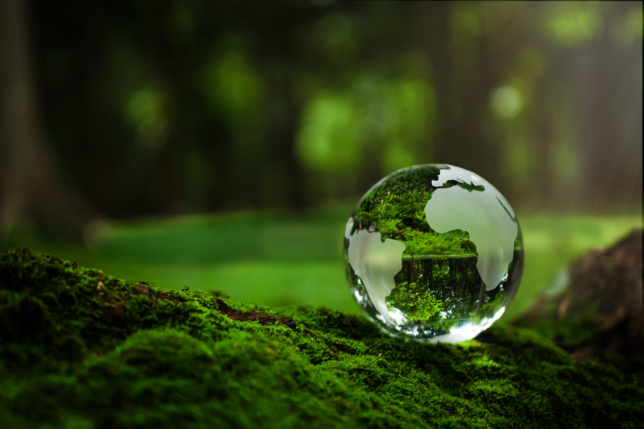 Whither ESG? Navigating the Evolving Solutions Landscape