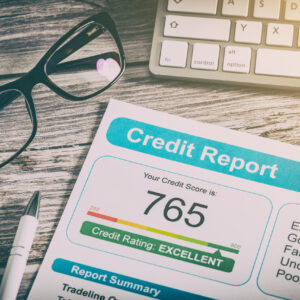 Credit Information - 2024 Segment View
