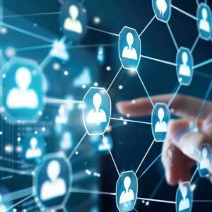 Company & Contact Information 2025 Segment View