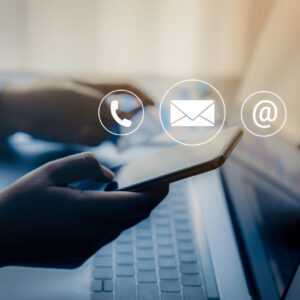 Company, Contact & Personal Information 2024 Segment View