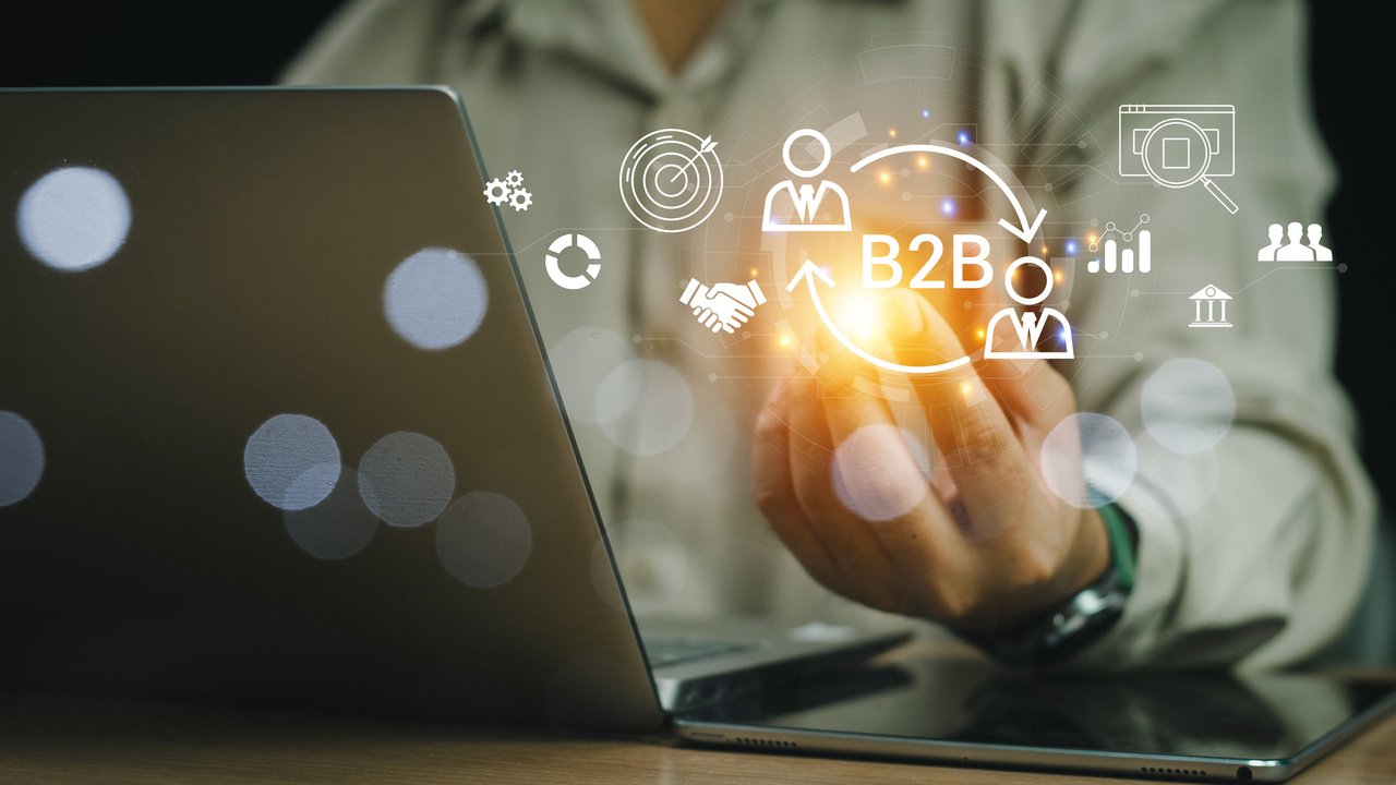 B2B Media & Business Information 2024 Segment View