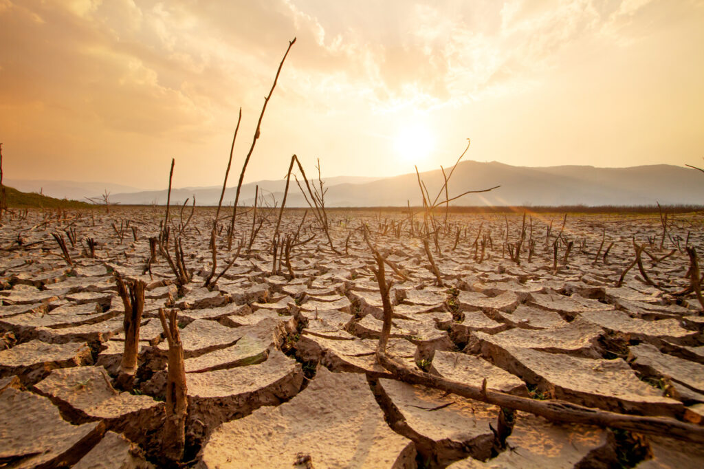 Climate Risk: From Disclosure to Decision