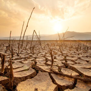 Climate Risk: From Disclosure to Decision