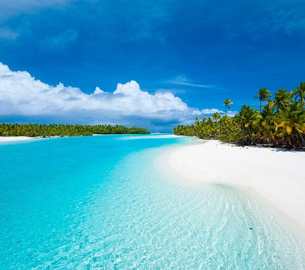 Bula! Wish You Were Here…