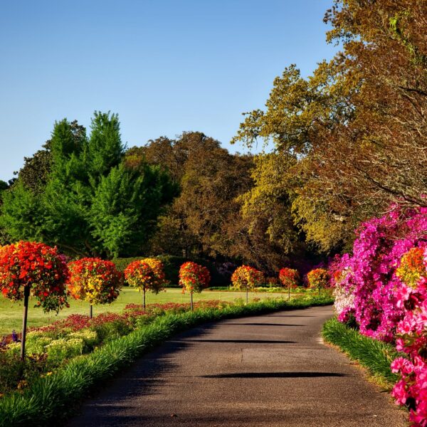 Companies Are Like Gardens