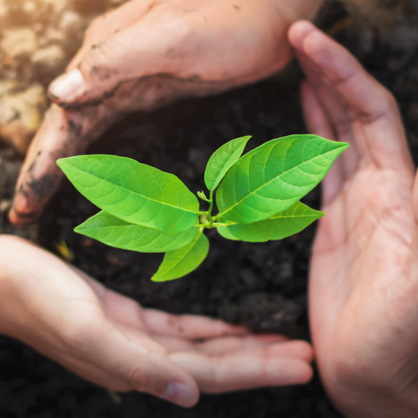 Corporate Responsibility and Planet Earth