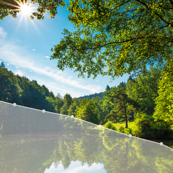 Corporate Sustainability