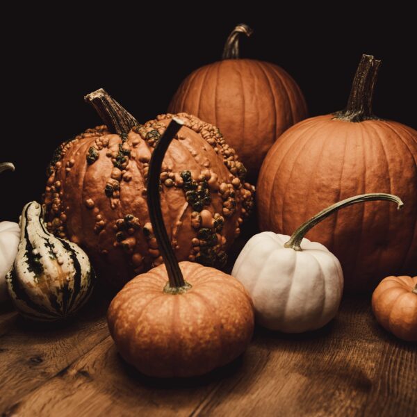 Happy Thanksgiving