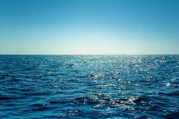 Sea of Sameness