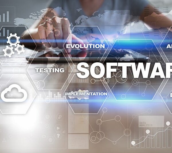Software’s Exaggerated Demise