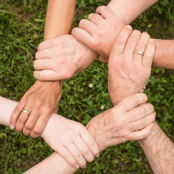 Virtual Whisperer 6 — Trust