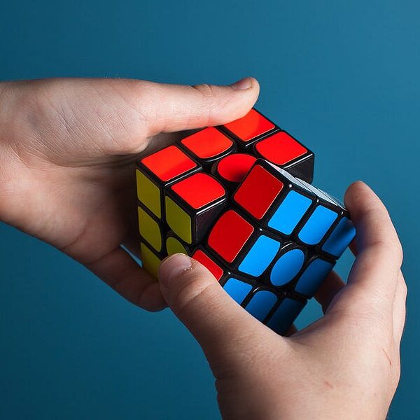 What’s on the Mind of CPOs